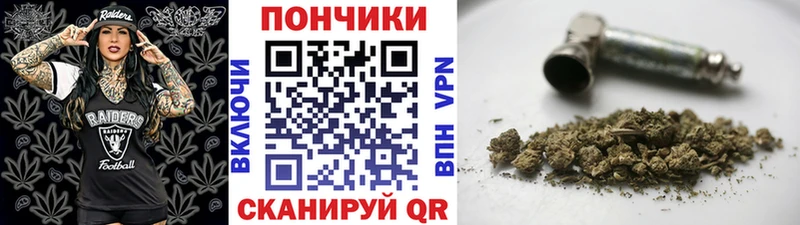Шишки марихуана VHQ  Купить закладки  Малгобек 